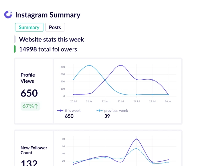 Plausible summary report template